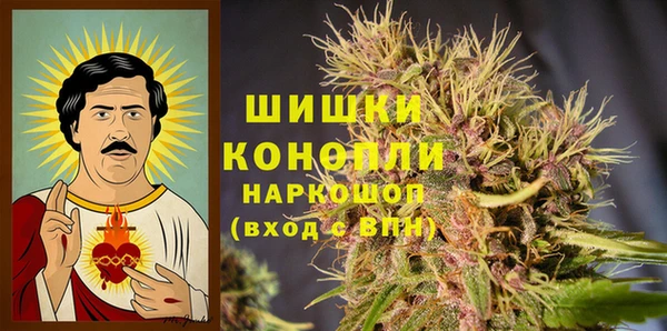 apvp Пестово