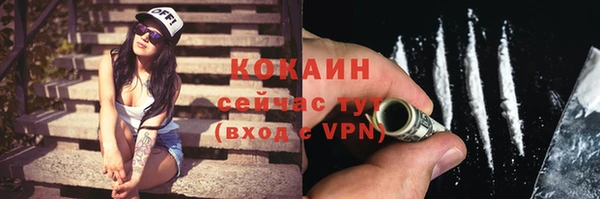 сатива Кущёвская