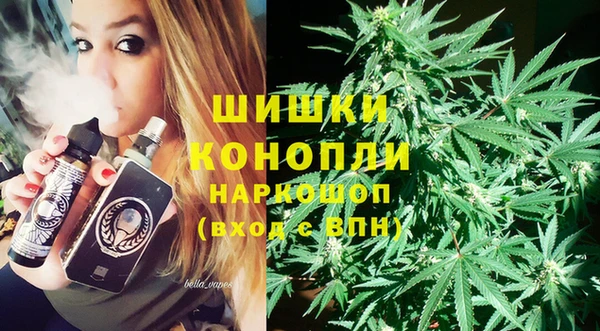 мяу мяу мука Курчалой