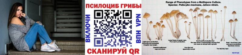MEGA ONION Перевоз Псилоцибиновые грибы мухоморы